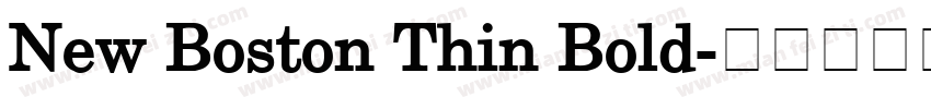 New Boston Thin Bold字体转换